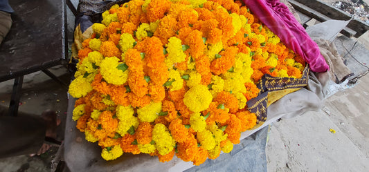 Navratri Special: Fresh Gainda (Marigold) & Rose Flower Combo - Just Rs 20! Free Same Day or Next Day Delivery!