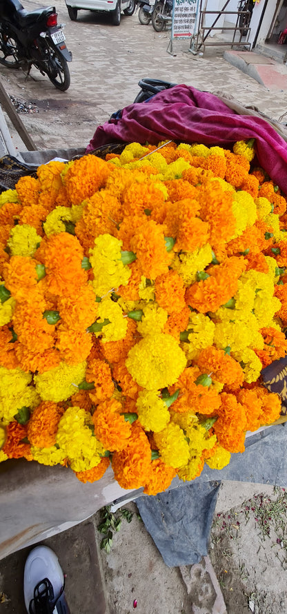 Navratri Special: Fresh Gainda (Marigold) & Rose Flower Combo - Just Rs 20! Free Same Day or Next Day Delivery!