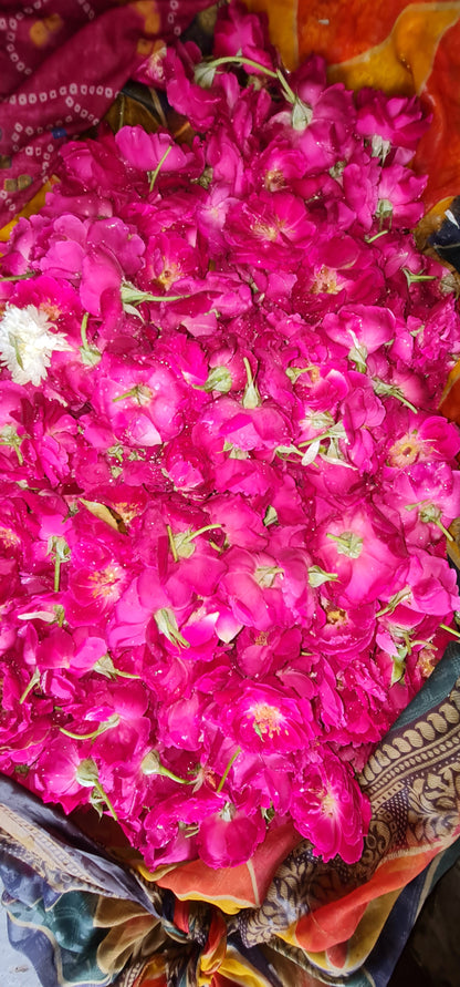 Navratri Special: Fresh Gainda (Marigold) & Rose Flower Combo - Just Rs 20! Free Same Day or Next Day Delivery!