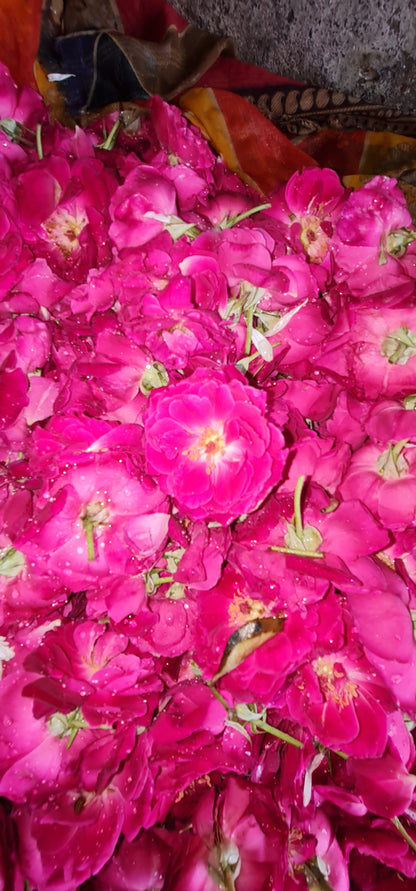 Navratri Special: Fresh Gainda (Marigold) & Rose Flower Combo - Just Rs 20! Free Same Day or Next Day Delivery!
